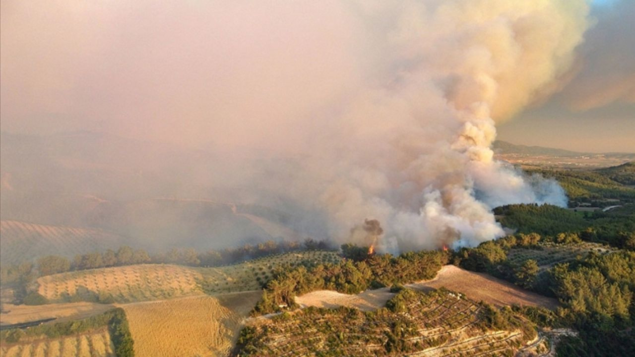 Art arda orman yangınları ekosistemi tehdit ediyor