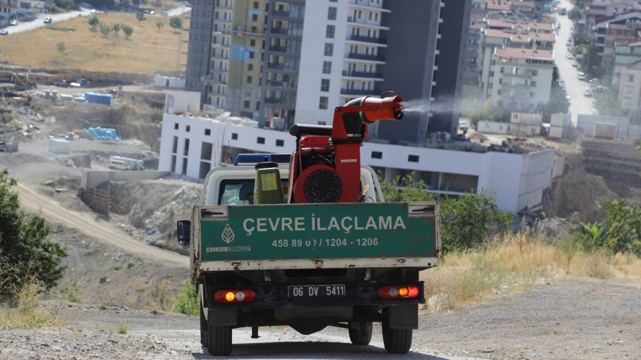 Çankaya’da ilaçlama seferberliği