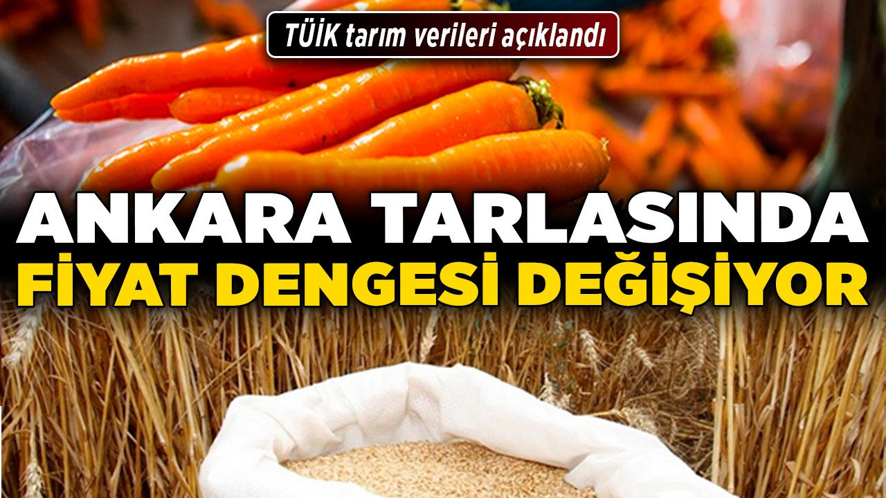 TÜİK tarım verileri açıklandı! Ankara tarlasında fiyat dengesi değişiyor