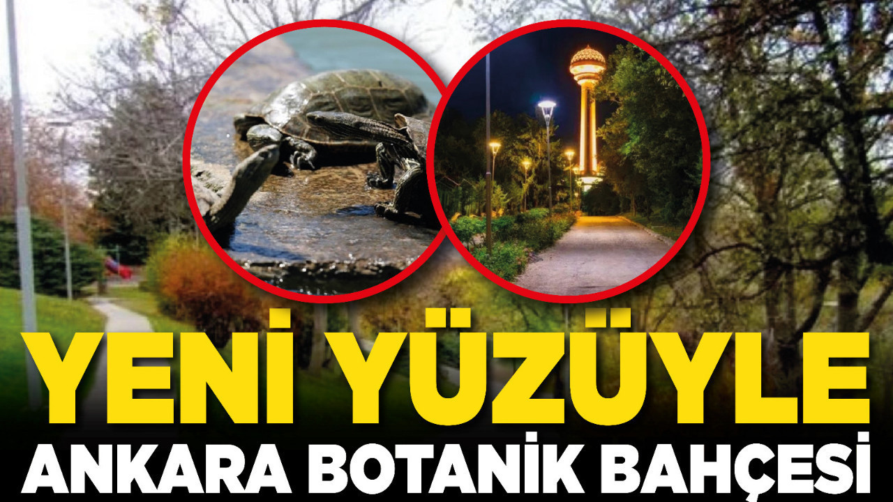Yeni yüzüyle Ankara Botanik Bahçesi
