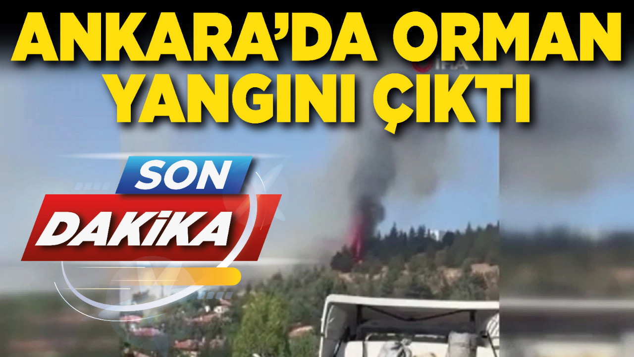 Ankara’da orman yangını çıktı