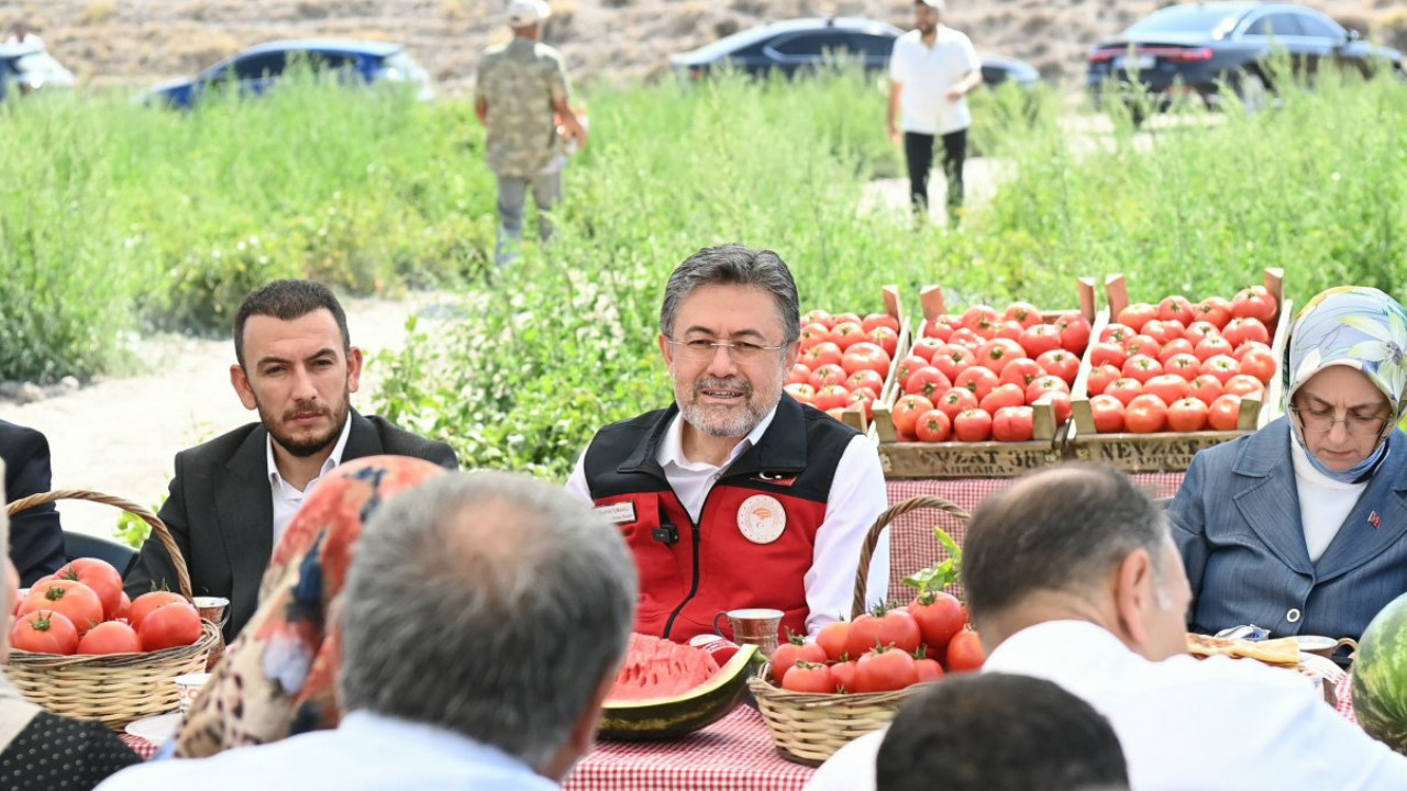Bakan Yumaklı Ayaş’ta domates hasadına katıldı