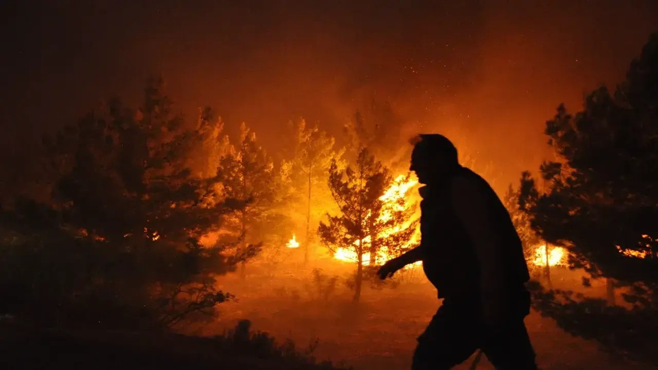 Balâ’da orman yangınına sebep olan şüpheli gözaltına alındı