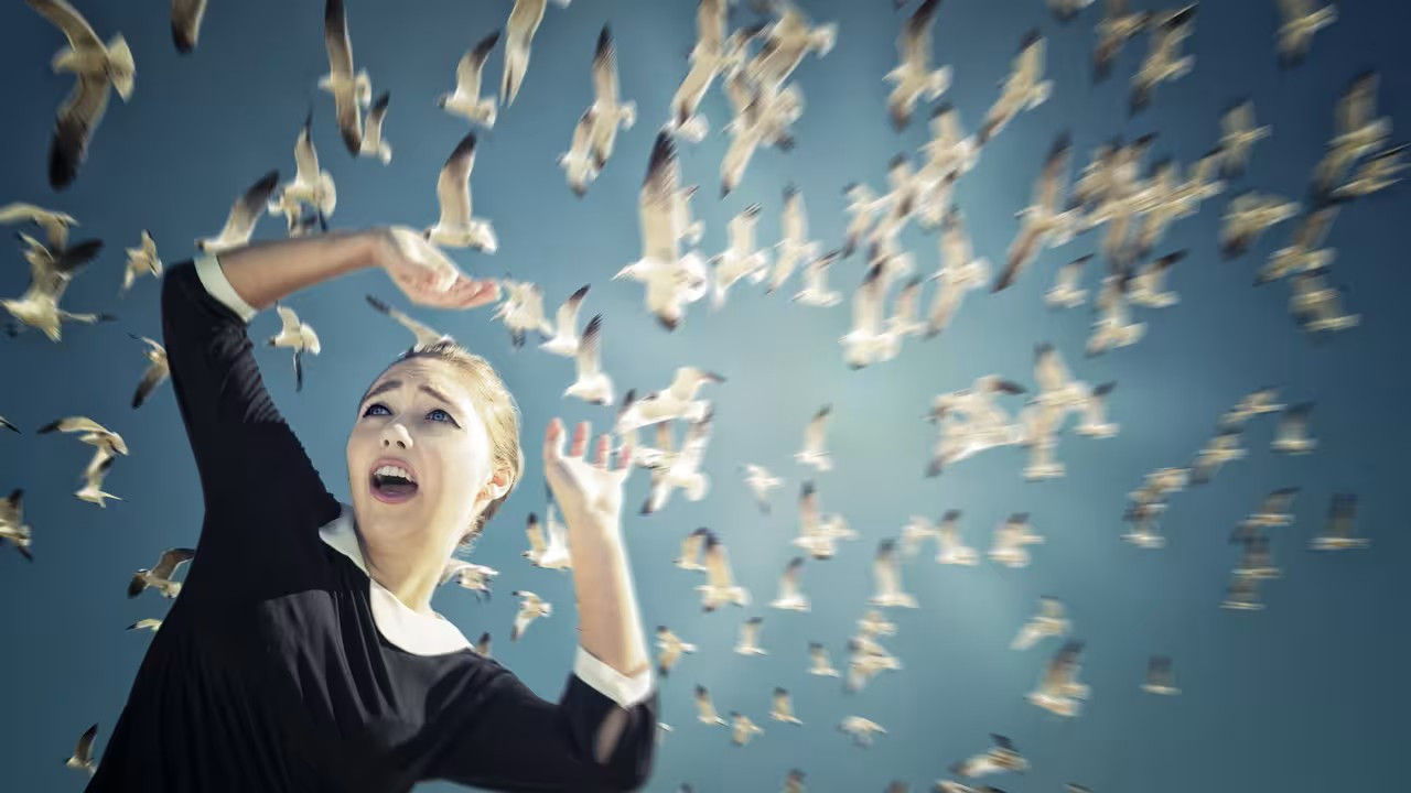 Ornitofobi nedir, belirtileri, nedenleri, tedavi yöntemleri nelerdir?