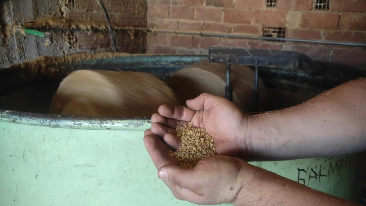 Yozgat’ta 3 nesillik lezzet mirası: Bulgur değirmeninin çarkları hâlâ dönüyor