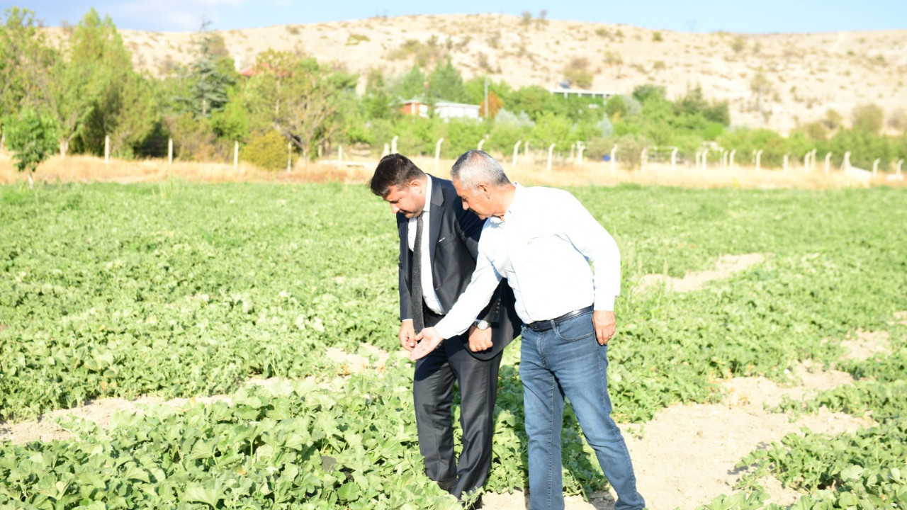 Kahramankazan'ın coğrafi işaretli meşhur lezzeti yeniden sofralarda