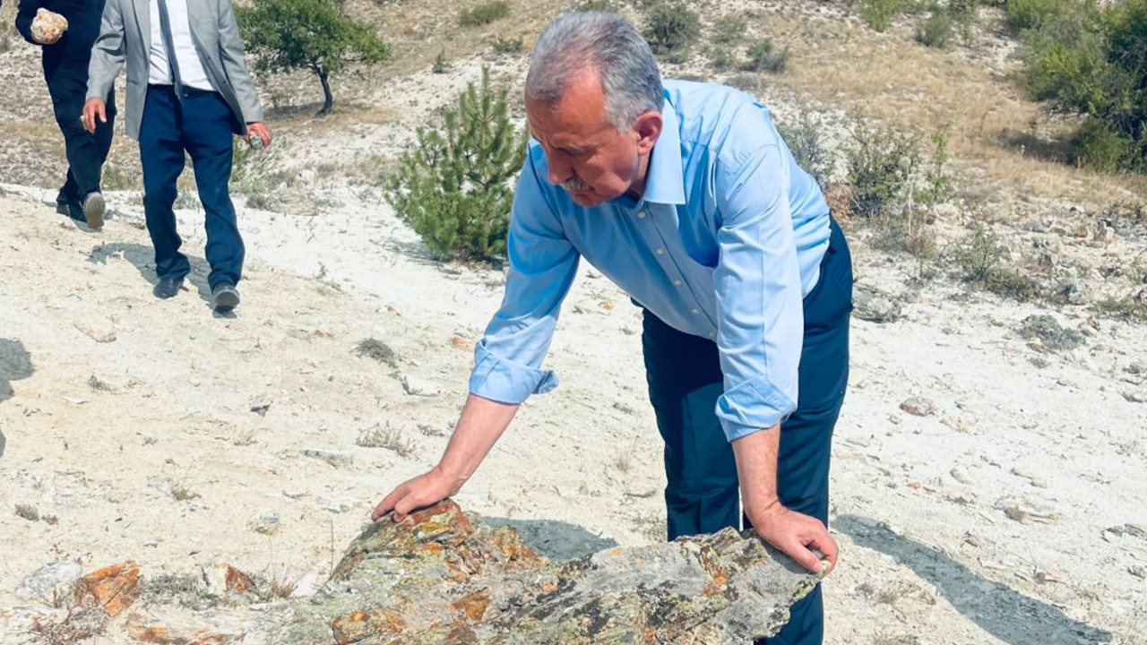 Çamlıdere Fosil Ormanı turizme kazandırılıyor!