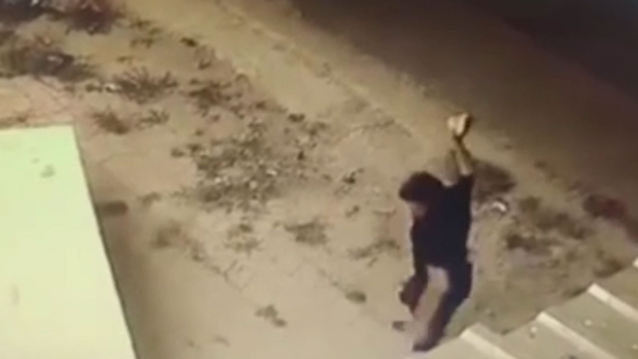 Ankara Etimesgut'ta köpeğe şiddet kamerada