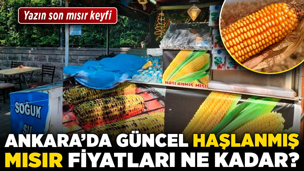 Yazın son mısır keyfi! Ankara'da güncel haşlanmış mısır fiyatları ne kadar?