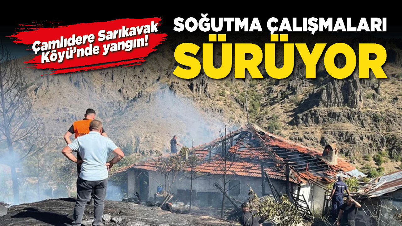Çamlıdere Sarıkavak Köyü’nde yangın! Soğutma çalışmaları sürüyor