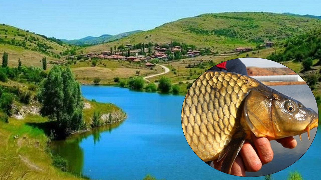 Kızılcahamam’da balık tutma yarışması heyecanı başlıyor!