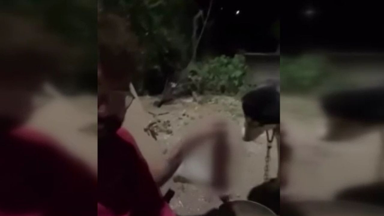Hayvan hakları ihlali: Polatlı’da skandal görüntüler