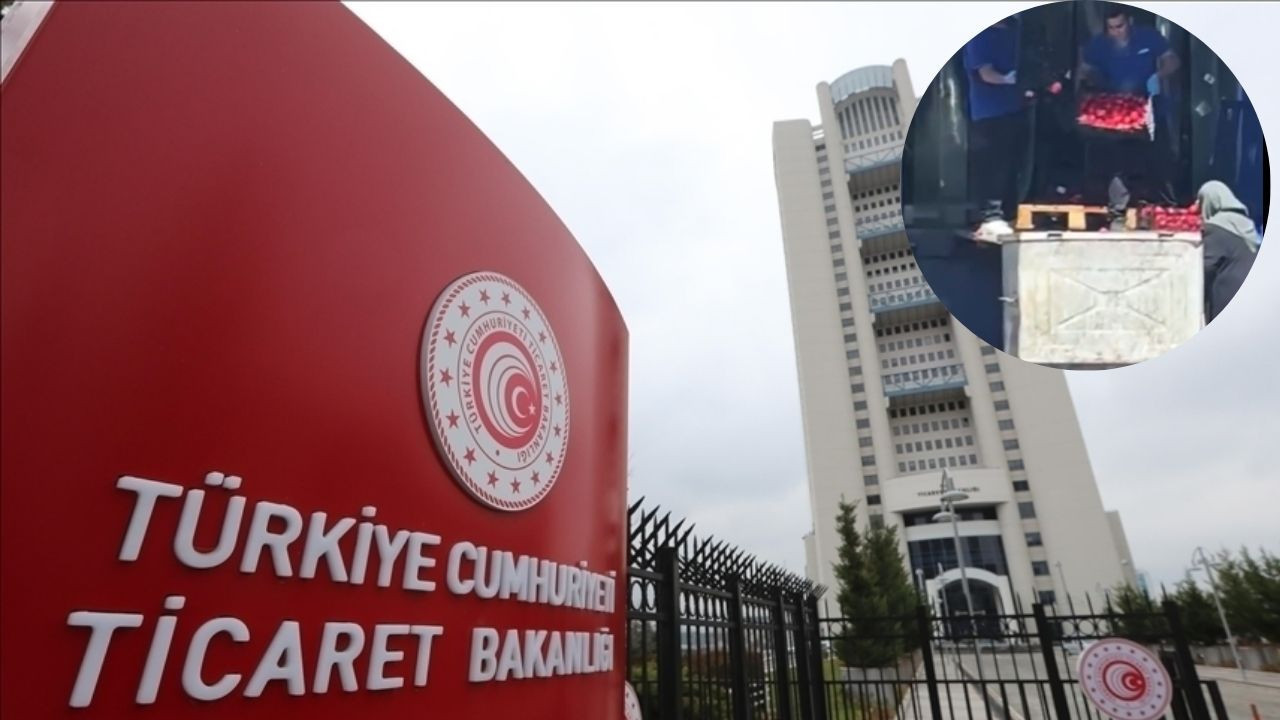 Ticaret Bakanlığından domates iddialarına açıklama
