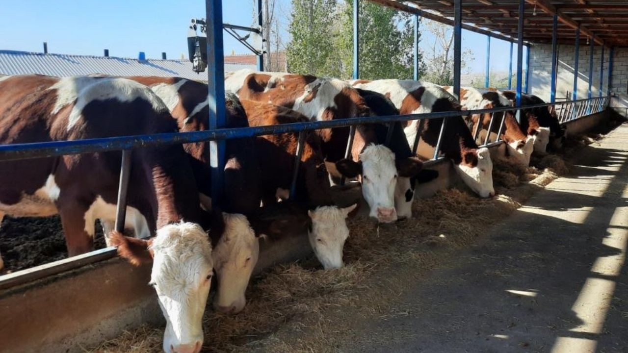 Sivas'ta kadınlara verilen destekler, olumlu sonuçlanıyor