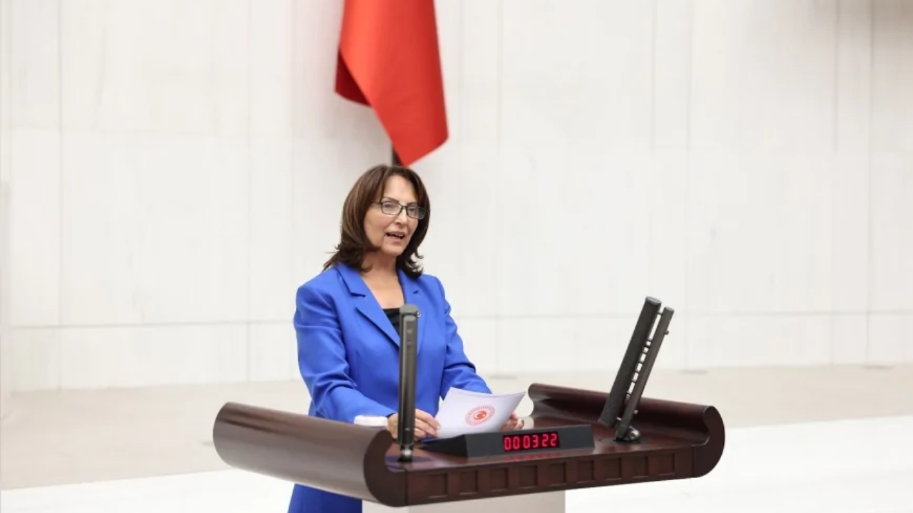 Aliye Timsi Ersever kimdir, hangi görevleri üstleniyor?