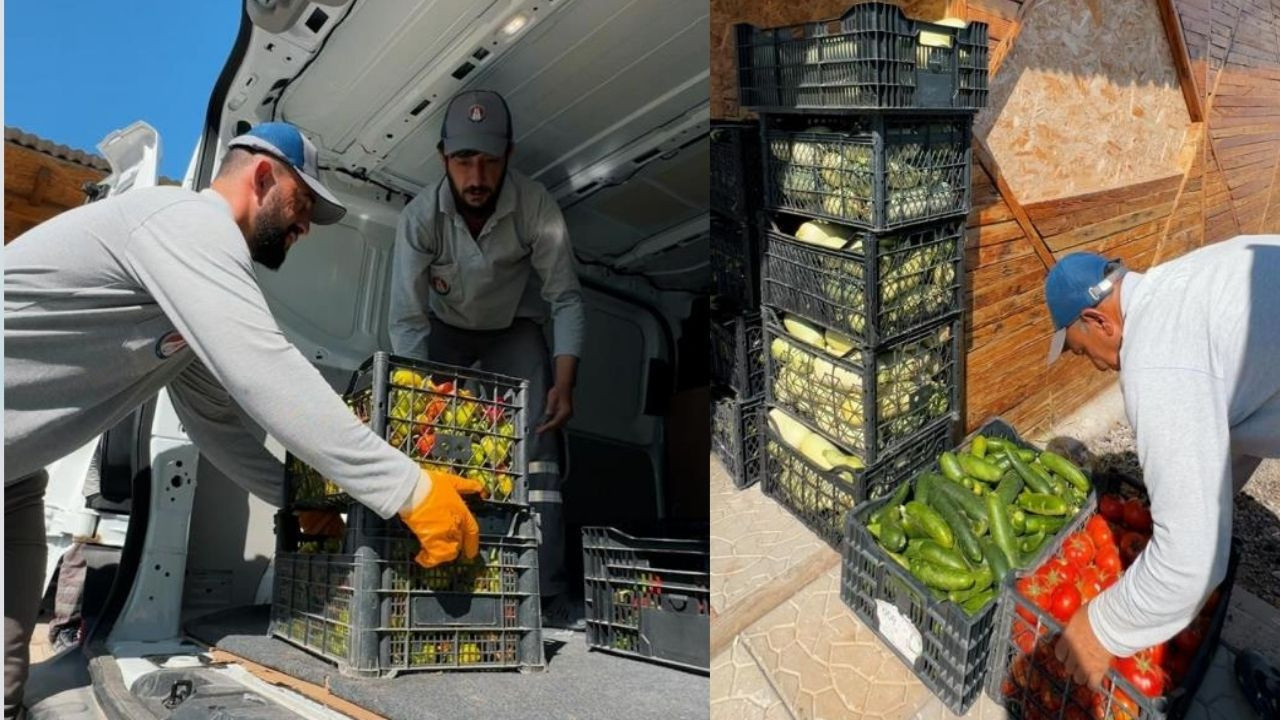 Sincan’da Eko Çiftlik Projesi: Organik ürünlerle sosyal dayanışma