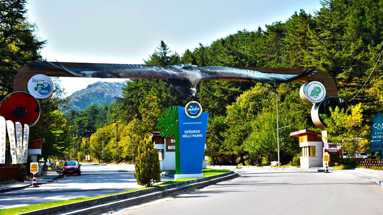 Kamp severler için Ankara’da bir cennet! Kızılcahamam Soğuksu Milli Parkı