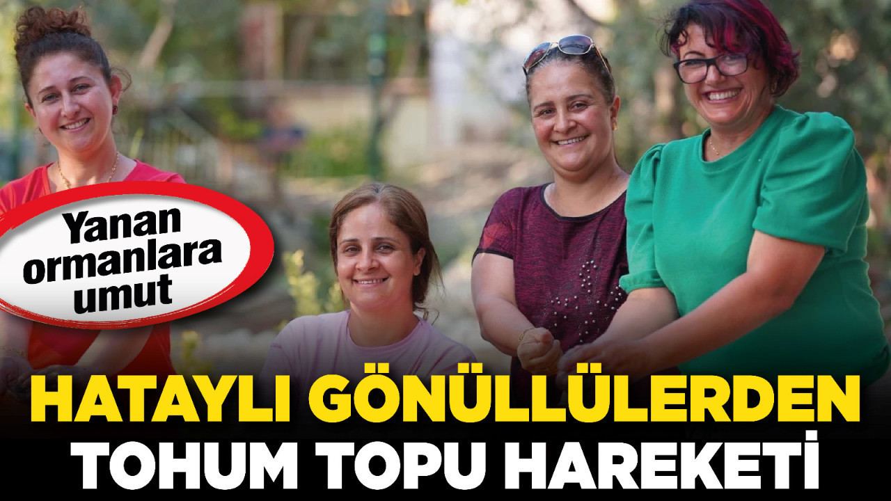Yanan ormanlara umut: Hataylı gönüllülerden Tohum Topu hareketi