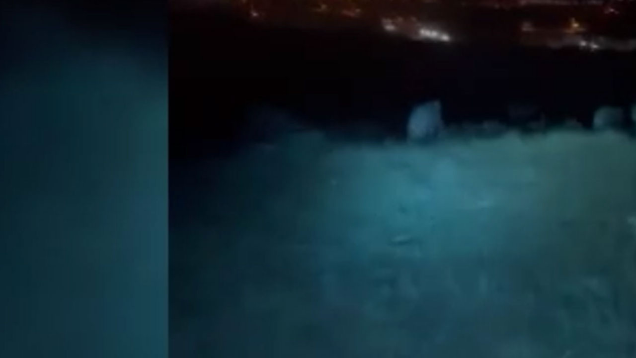 Elmadağ’da domuz kovalamacası: Motosikletli gençler o anları kayda aldı