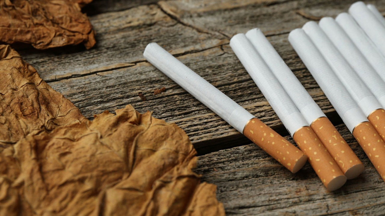 Pursaklar’da tütünsüz hayat semineri: Kadınlara sağlıklı yaşam eğitimi