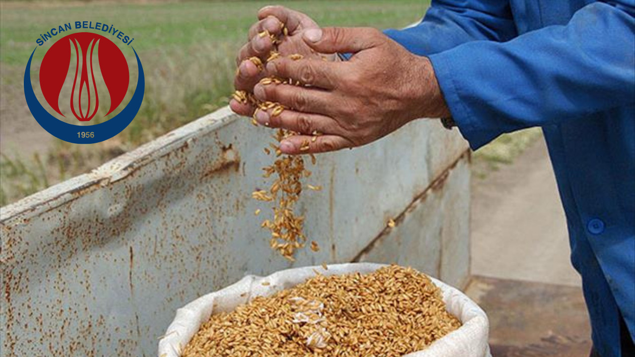Sincanlı çiftçilere buğday tohumu desteği! Başvuruyu kaçırmayın