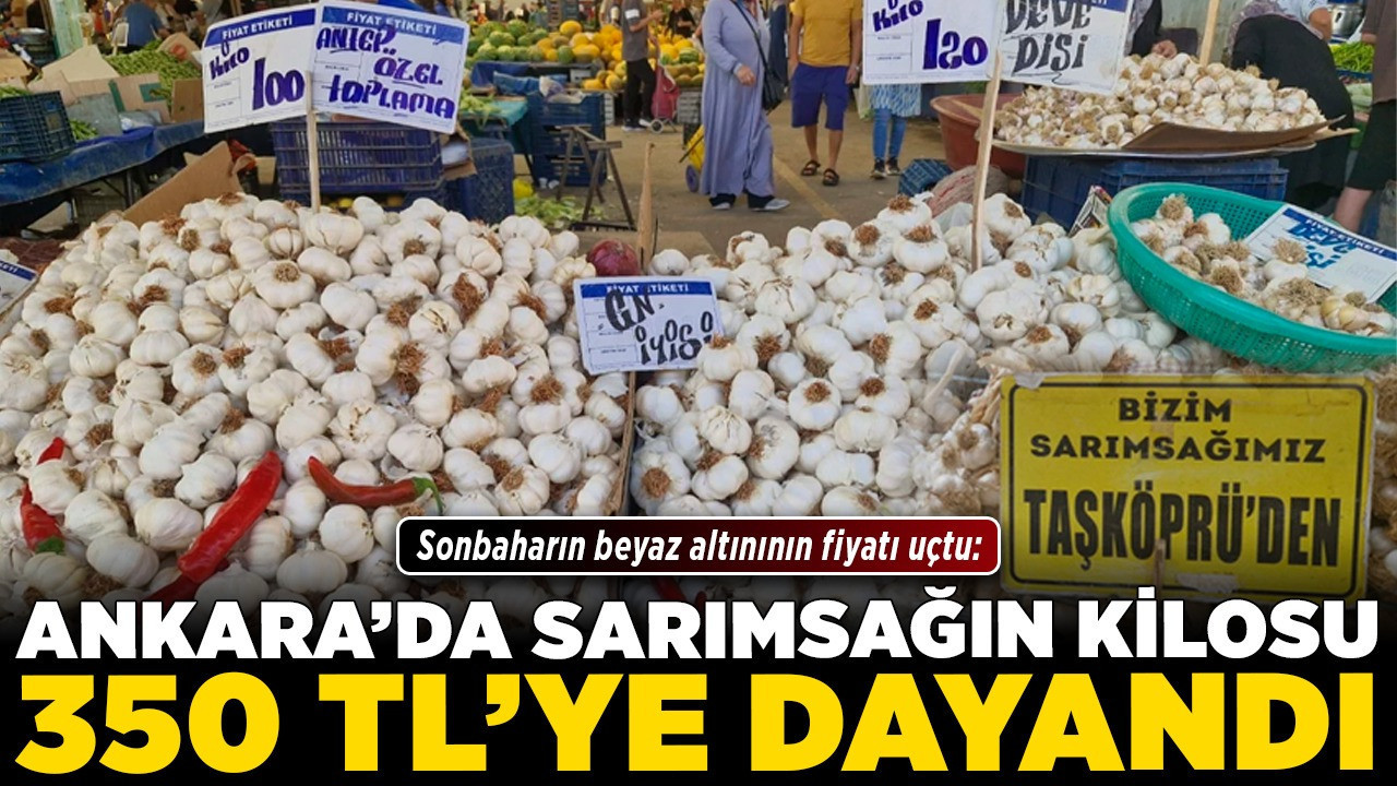 Sonbaharın beyaz altınının fiyatı uçtu: Ankara'da sarımsağın kilosu 350 TL’ye dayandı!