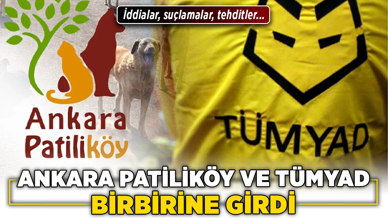 Ankara Patiliköy ve TÜMYAD birbirine girdi! İddialar, suçlamalar, tehditler...