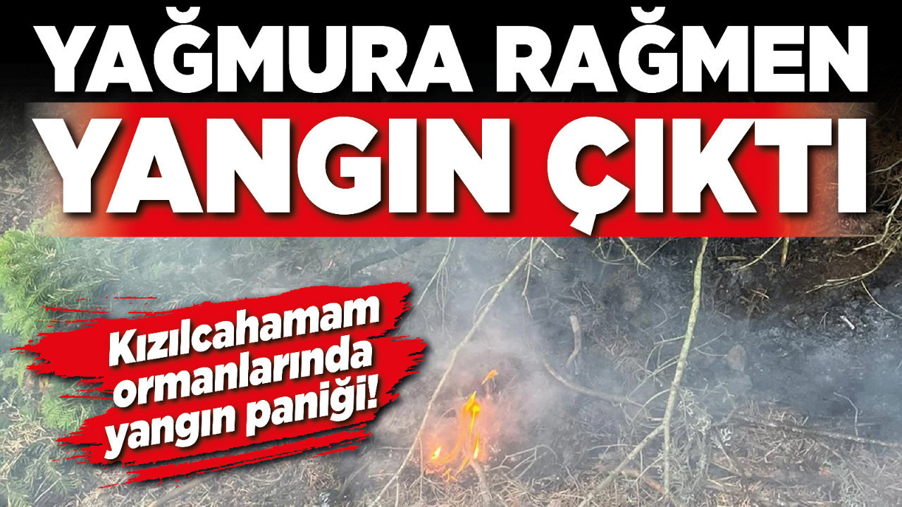 Kızılcahamam ormanlarında yangın paniği! Yağmura rağmen yangın çıktı!