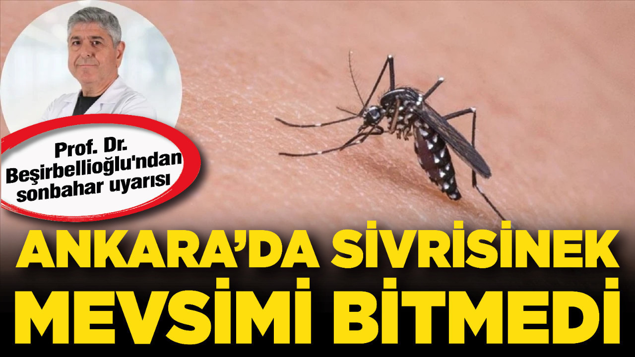 Prof. Dr. Beşirbellioğlu'ndan sonbahar uyarısı