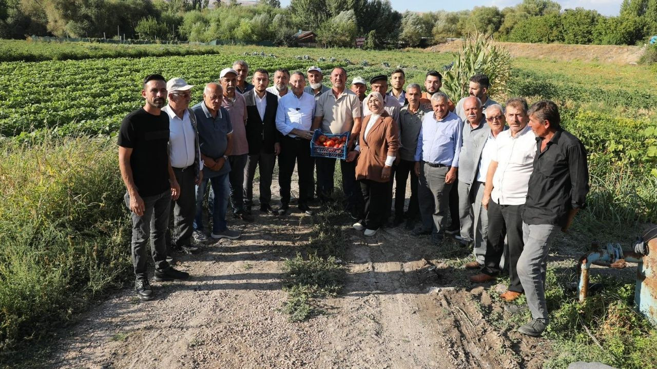 Ankara Milletvekili Fuat Oktay Ayaşlı çiftçilerle domates hasadında buluştu