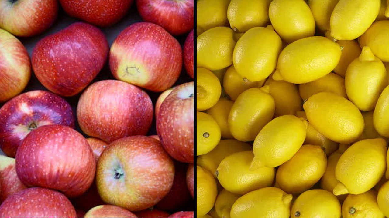 Elma ve limon ihracatı kayda bağlandı: Spekülasyona geçit yok