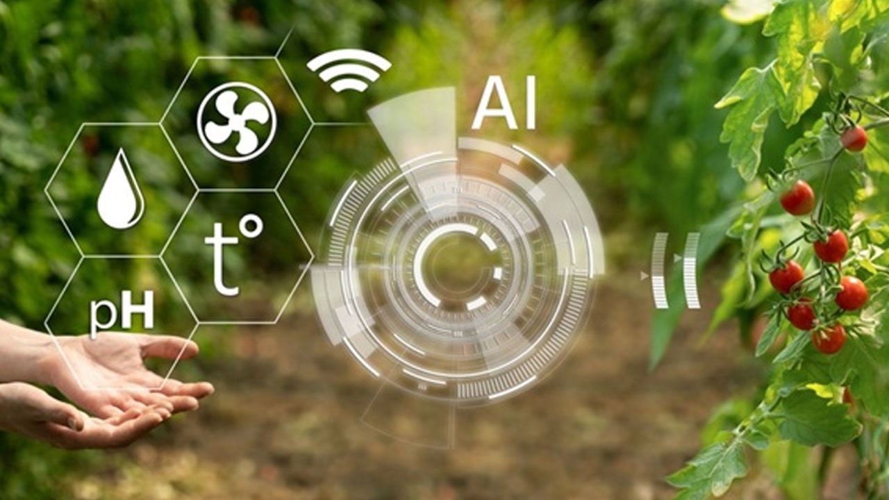 Tarımda kuşaklar arası kopukluk alarm veriyor