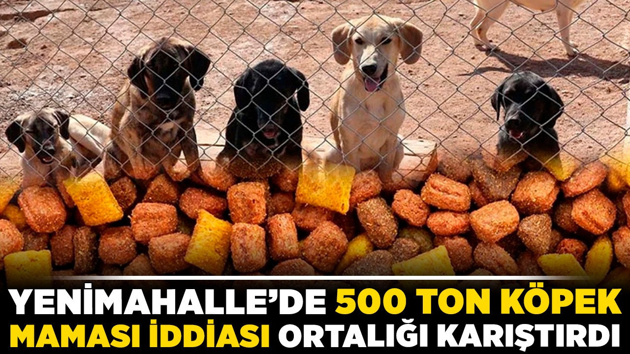 Yenimahalle'de 500 ton köpek maması iddiası ortalığı karıştırdı!