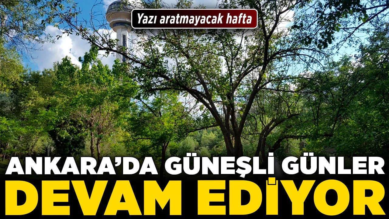 Ankara’da güneşli günler devam ediyor