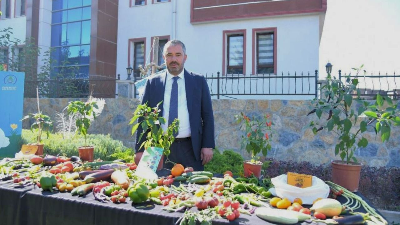Pursaklar’da yerli tohumlarla bereketli hasat
