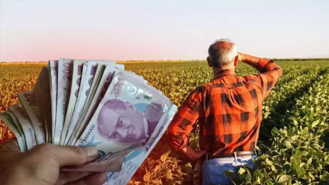 Çiftçilere müjde: Zirai don zararı için 16 ürüne destek ödemesi geliyor