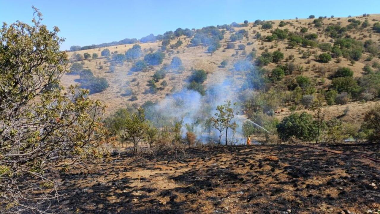 Yozgat’ta çıkan yangında 15 dönüm arazi küle döndü