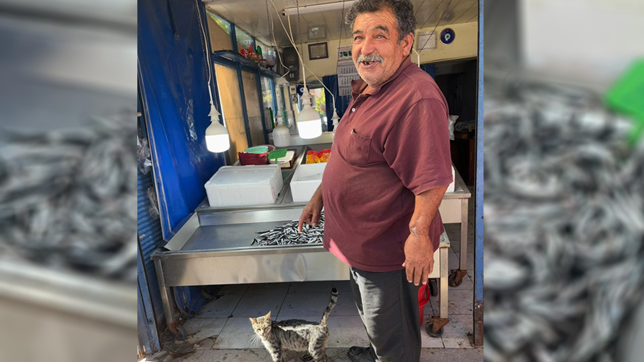 Kızılcahamam’da balık sezonu açıldı: Vatandaşın gözdesi hamsi!