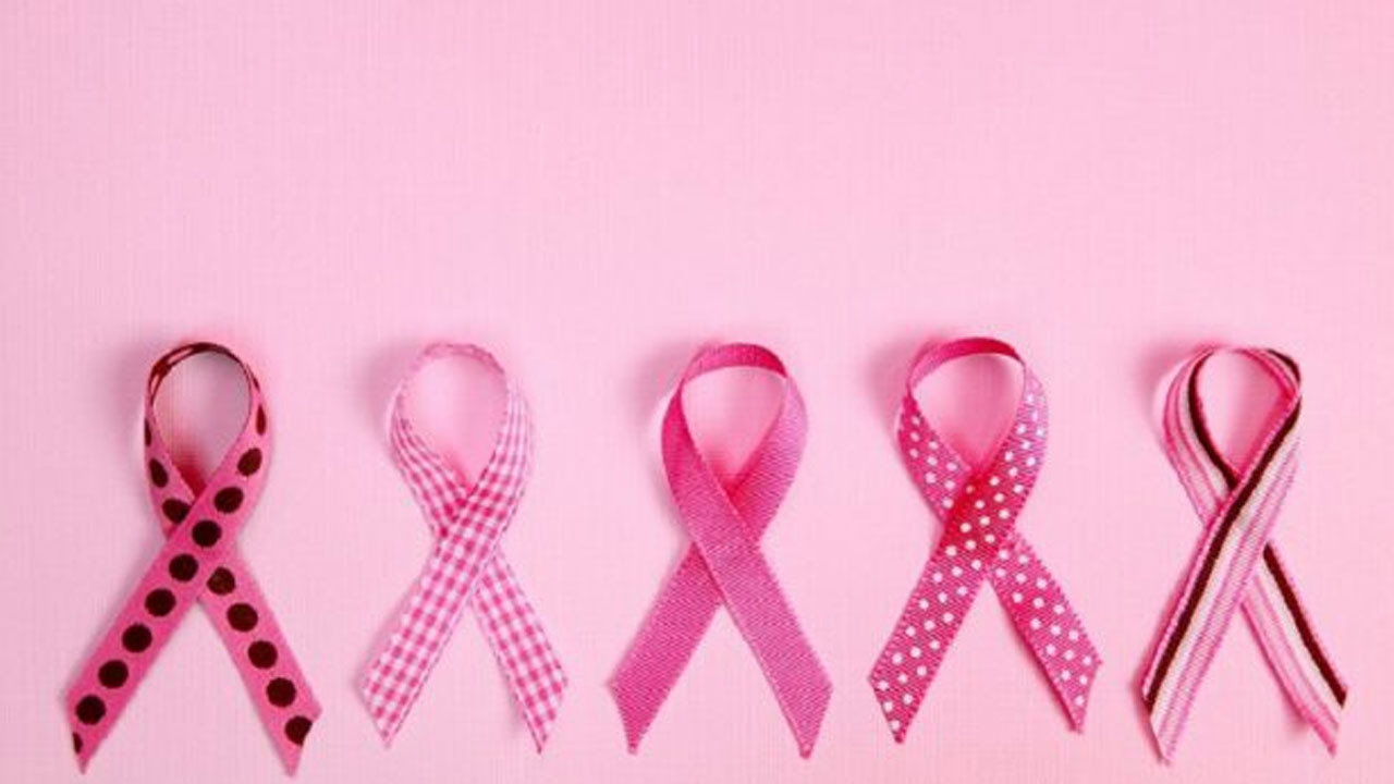 20 Eylül Dünya Jinekolojik Kanserler Farkındalık Günü Kuğulupark’ta kutlanacak