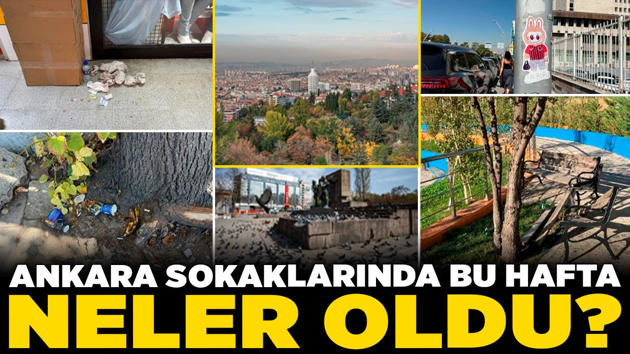 Ankara sokaklarında bu hafta neler oldu? Kızılay’da kirlilik, bulvarda sanat, parkta bakımsızlık