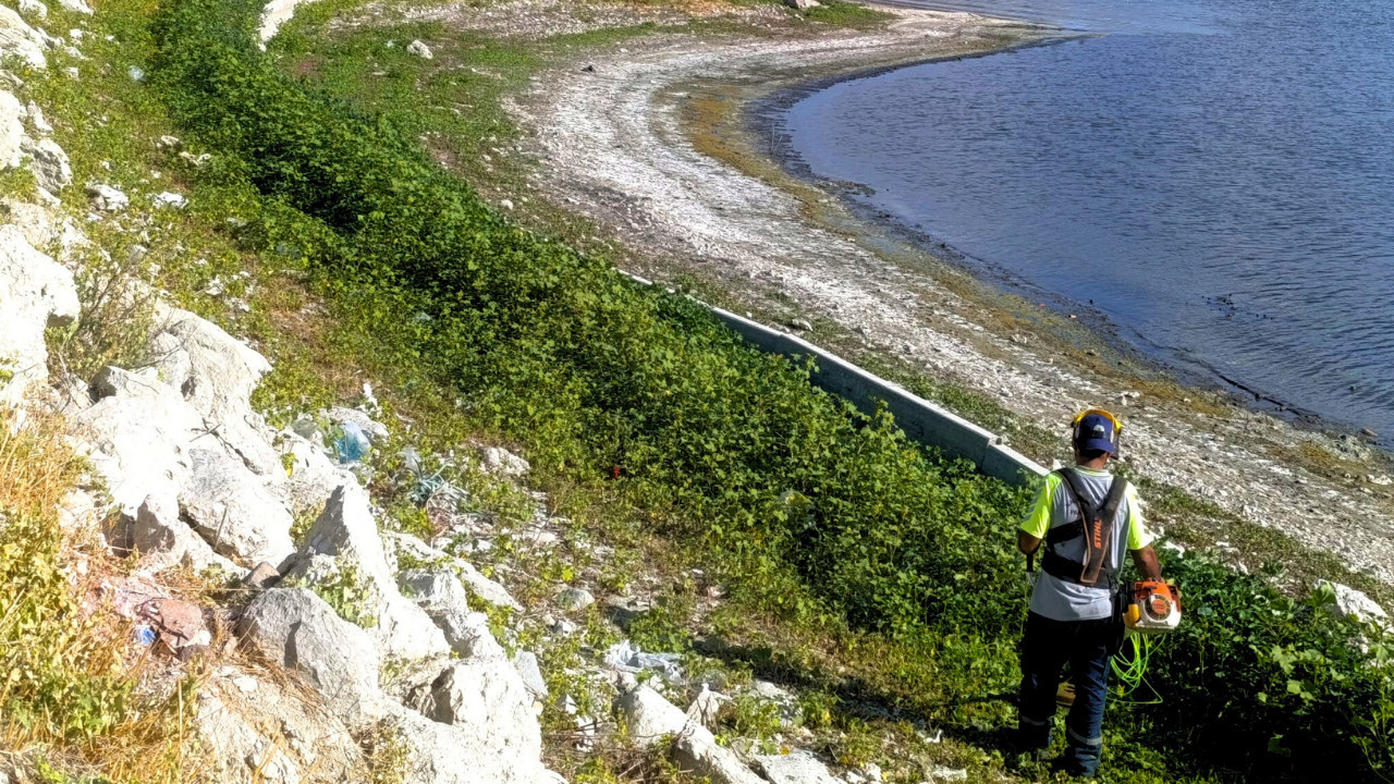 Zeytin fidanları toprakla buluştu, lavantalar budandı! Nallıhan'da kapsamlı çalışma