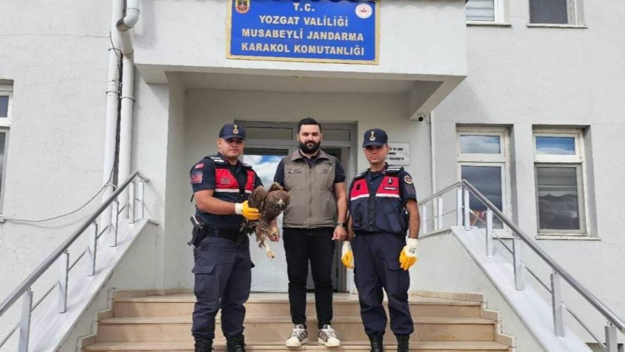 Yozgat’ta yaralı kartal, koruma altına alındı