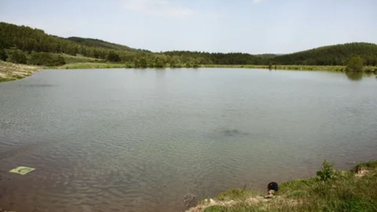 Ankara’nın en güzel yaylalarından biri olan Alveren Yaylası nerede, nasıl gidilir?