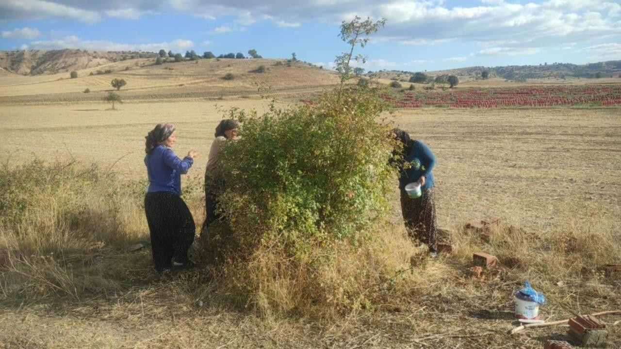 Yozgat’ın o meşhur şifa mucizesi, binbir zahmetle toplanıyor