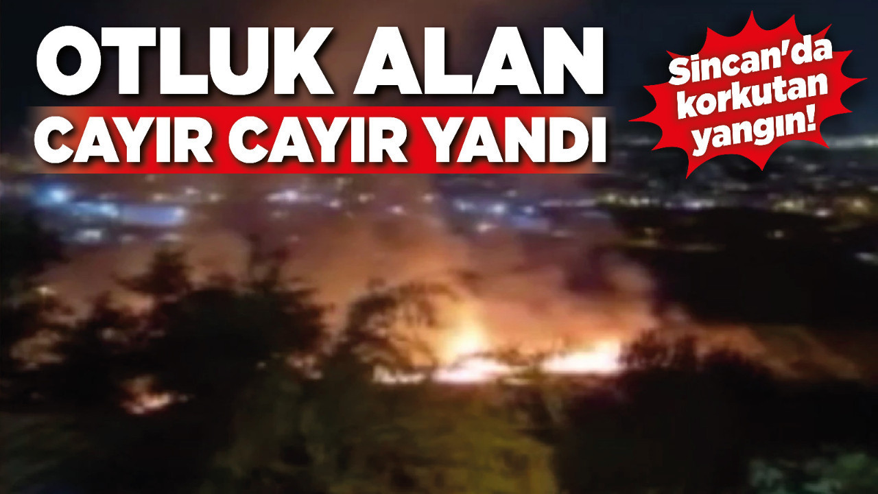 Sincan'da korkutan yangın! Otluk alan cayır cayır yandı