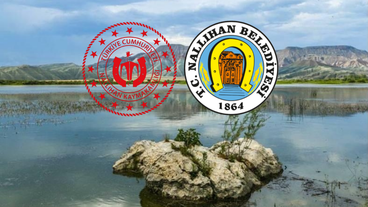 Doğanın renkleri başkentte buluşuyor: Nallıhan 8. Foto Safari Sergisi'ne hazırlanıyor!