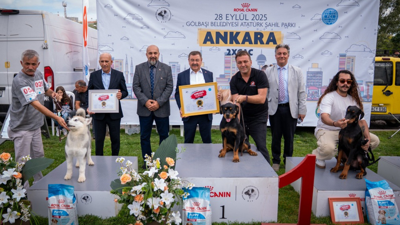 Kupa sevimli dostların oldu! Gölbaşı’nda uluslararası köpek şovu