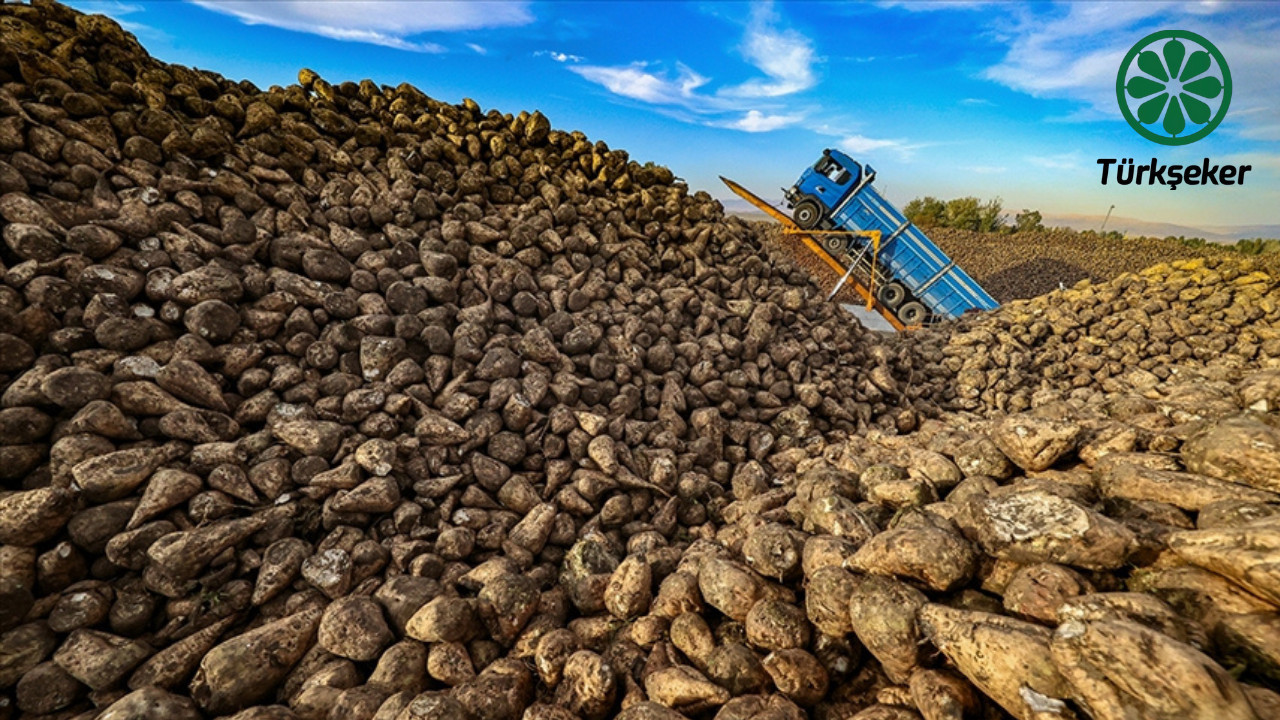 Şeker pancarında yeni dönem! Bakanlıktan kritik açıklama