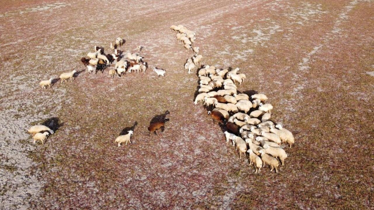 Yozgat’ta kuraklığın vahameti, tüm çıplaklığıyla gün yüzüne çıktı