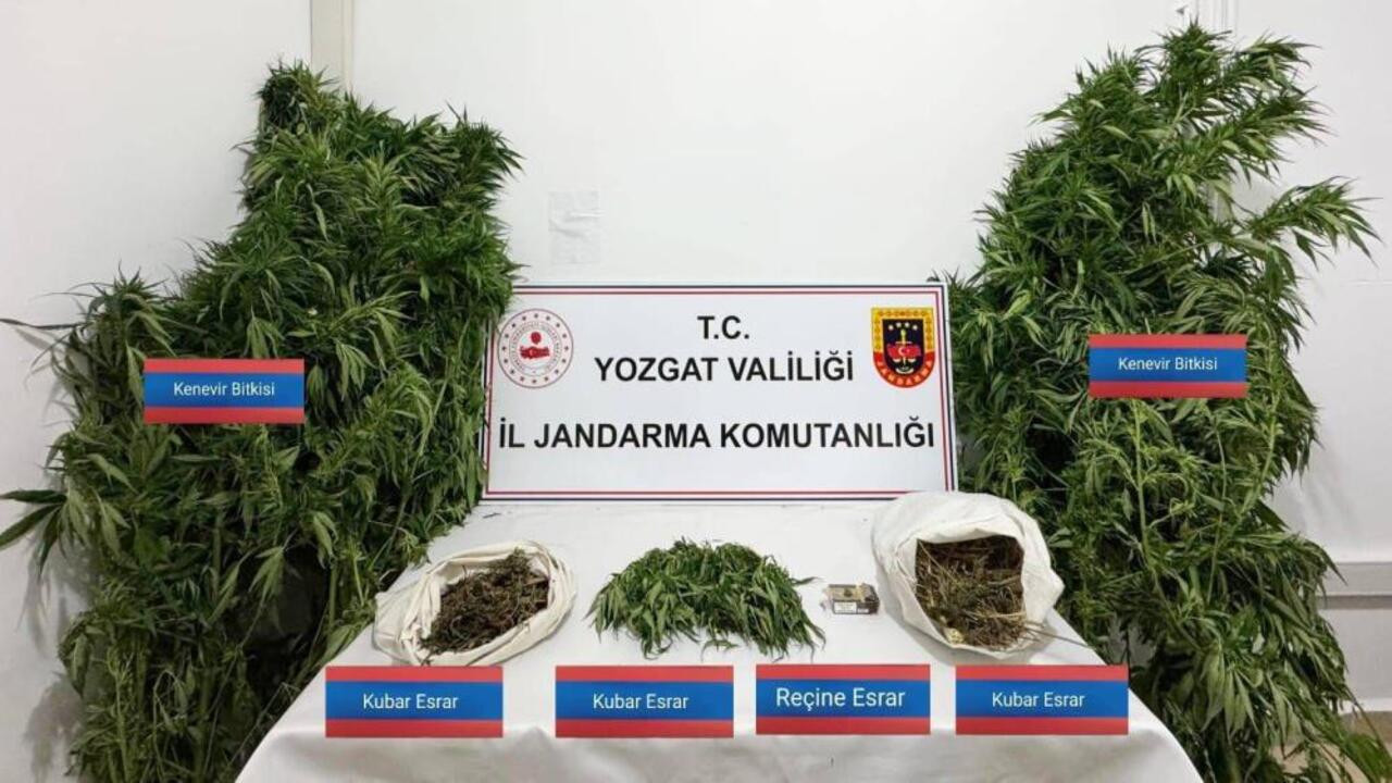 Yozgat’ta yeşil operasyon